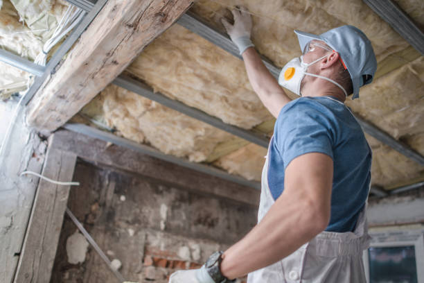 Best Cellulose Insulation in Brier, WA