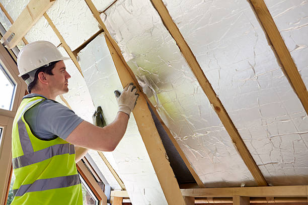 Best Eco-Friendly Insulation in Brier, WA
